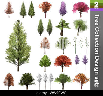 Correction de l'arbre. design. 3D Illustration. Fond blanc isoler. Nature et Jardins design. Banque D'Images