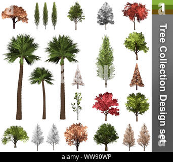 Correction de l'arbre. design. 3D Illustration. Fond blanc isoler. Nature et Jardins design. Banque D'Images