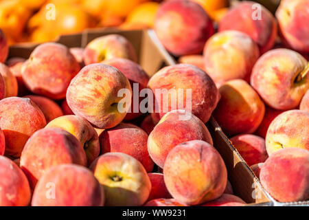 Libre de mûres fraîches pêches orange et rouge des fruits dans un marché de producteurs à Aspen, Colorado durant l'été en boîte carton afficher Banque D'Images