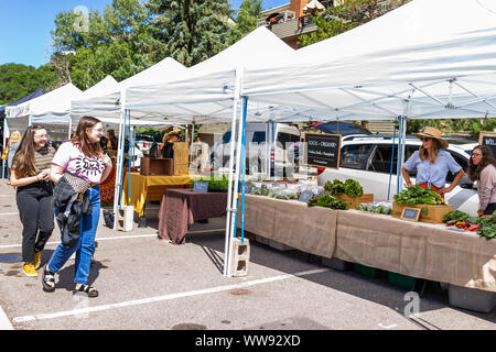 Basalte, USA - Le 14 juillet 2019 : Vendeurs de produits d'épicerie dans les peuplements au marché de fermiers avec les affichages dans la rue en plein air Banque D'Images