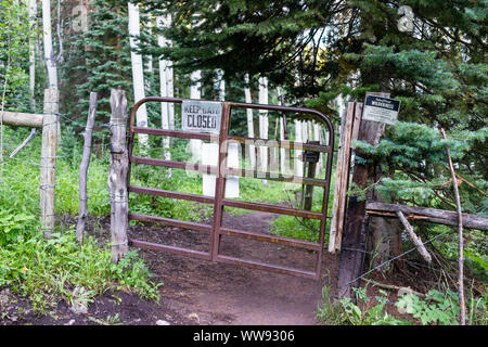 Aspen, USA - 15 juillet 2019 : bovins gate de matin de l'été sur le sentier du lac Snowmass dans le Colorado en parc national forestier de montagne avec signe Banque D'Images