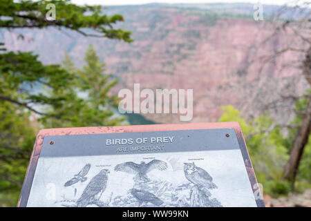 Dutch John, USA - Le 24 juillet 2019 : La vue de Canyon Rim donnent sur la région de Flaming Gorge National Park Utah de Green River avec les oiseaux de proie sign Banque D'Images