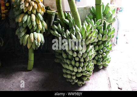 Bananes fraîchement récoltées vendues sur le marché local de Luang Prabang, au Laos Banque D'Images