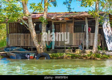 Costa Rica, maison typique sur la rivière, à Tortuguero, faune dans la mangrove Banque D'Images