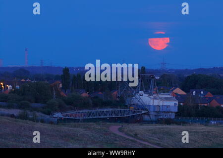 La récolte de Pleine Lune Le vendredi 13 septembre avec Bucyrus Erie conservé au fil de la marche St RSPB Aidan's Banque D'Images