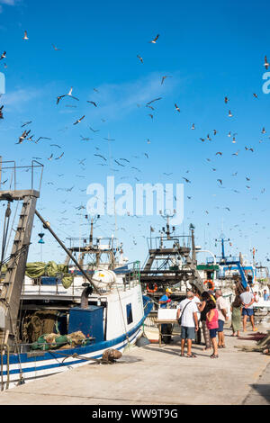 Bateaux de pêche commerciale qui arrivent au port de Malaga, Andalousie, espagne. Banque D'Images