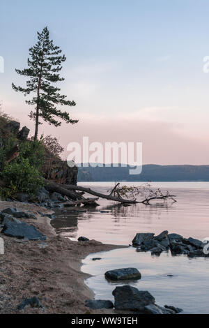 Lonely tree sur la côte du lac au lever du soleil Banque D'Images