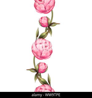 Frontière florale avec pivoines rose Banque D'Images