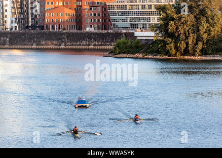 La formation de l'aviron dans le Dusseldorfer Medienhafen Banque D'Images