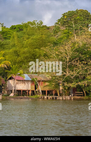 Costa Rica, maison typique sur la rivière, à Tortuguero, faune dans la mangrove Banque D'Images