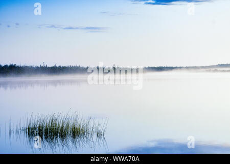 Foggy Lake au Canada pendant le lever du soleil. Banque D'Images