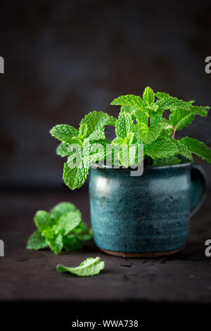 Feuilles de menthe fraîche dans une tasse en céramique rustique sur un fond sombre Banque D'Images