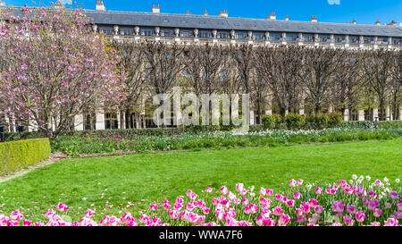 Grand Panda, ours panda bambou manger assis dans l'herbe, funny face Banque D'Images