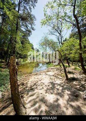 The Woodlands TX USA - 03-26-2019 - Chemin d'accès à l'eau Banque D'Images