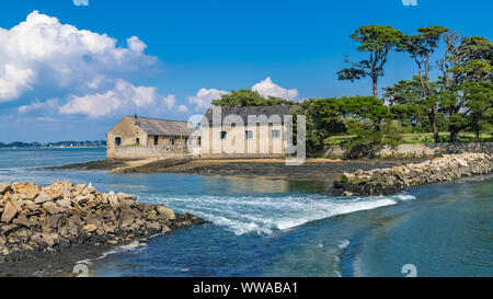 L'île de Berder, en Bretagne, dans le golfe du Morbihan, chemin couvert par la mer à marée montante Banque D'Images