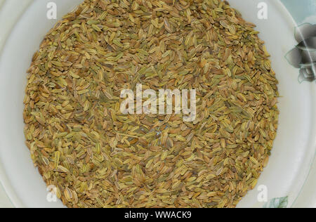 Close up de graines de fenouil séchées dans une assiette blanche,Vue de dessus.tas de graines de fenouil sec dans une assiette. Banque D'Images