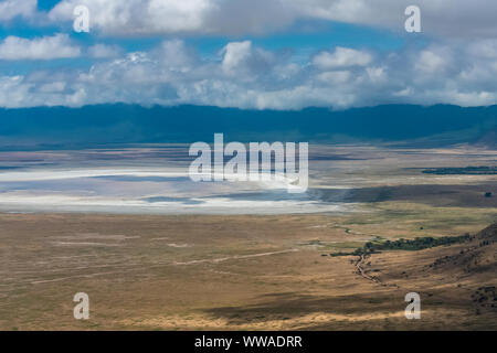 La Tanzanie, vue sur le cratère du Ngorongoro, beau paysage avec des animaux différents de vivre ensemble Banque D'Images