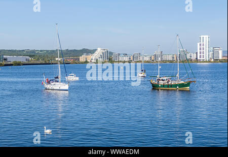 Bateaux yachts amarrés dans la baie de Cardiff sur une journée ensoleillée avec les immeubles à appartements dans l'arrière-plan. Banque D'Images