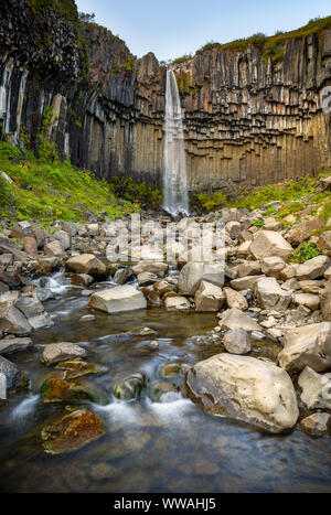 Cascade de Svartifoss en Islande Banque D'Images