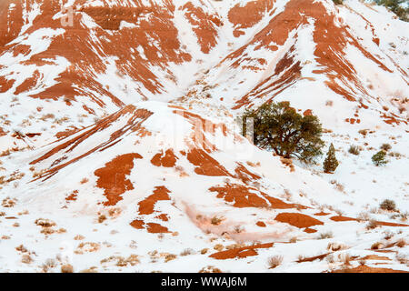 Neige fraîche dans le haut désert, Capitol Reef National Park, Utah, USA Banque D'Images