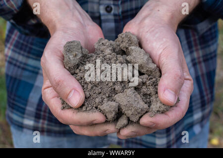 Les mains des agriculteurs avec le sol dans les paumes close-up , homme mains avec sol fertile Banque D'Images