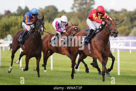 Iridessa monté par Wayne Lordan remporte le "Coolmore Fastnet Rock' Matron Stakes au cours de la première journée du week-end des Champions irlandais Longines à l'hippodrome de Leopardstown, Dublin. Banque D'Images