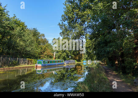 Bateaux amarrés sur les rives de la rivière Wey comme il se joint à l'Basingstoke Canal entre Weybridge et New Haw, Surrey, Angleterre du Sud-Est, Royaume-Uni Banque D'Images