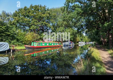 Bateaux amarrés sur les rives de la rivière Wey comme il se joint à l'Basingstoke Canal entre Weybridge et New Haw, Surrey, Angleterre du Sud-Est, Royaume-Uni Banque D'Images