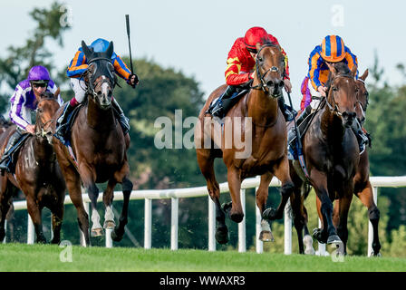 Dublin, Irlande. 14Th Sep 2019. 14 septembre 2019 : # 5 Iridessa, montée par Wayne Lordan, remporte la Fastnet Coolmore Stakes pendant un jour de semaine des Champions de l'Irlandais à l'hippodrome de Leopardstown à Dublin, Irlande. Scott Serio/Eclipse/CSM Sportswire Crédit : Cal Sport Media/Alamy Live News Banque D'Images