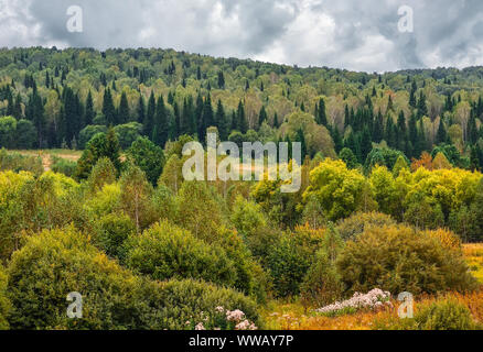 Approche de l'automne sur les collines avec des forêts denses de feuillus et résineux - début de l'automne paysage avec un temps instable et ciel nuageux. Woodla Septembre Banque D'Images