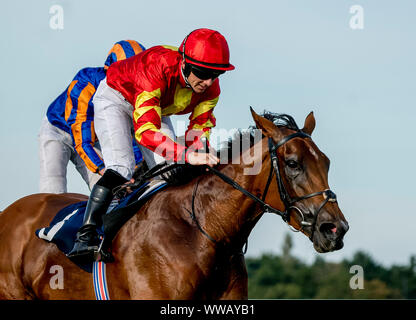 Dublin, Irlande.14th Sep 2019. 14 septembre 2019 : # 5 Iridessa, montée par Wayne Lordan, remporte la Fastnet Coolmore Stakes pendant un jour de semaine des Champions de l'Irlandais à l'hippodrome de Leopardstown à Dublin, Irlande. Scott Serio/Eclipse Sportswire/CSM/Alamy Live News Banque D'Images