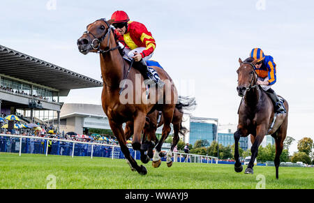 Dublin, Irlande.14th Sep 2019. 14 septembre 2019 : # 5 Iridessa, montée par Wayne Lordan, remporte la Fastnet Coolmore Stakes pendant un jour de semaine des Champions de l'Irlandais à l'hippodrome de Leopardstown à Dublin, Irlande. Scott Serio/Eclipse Sportswire/CSM/Alamy Live News Banque D'Images