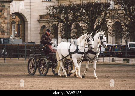 20 février 2019. Un officier militaire entraîne deux chevaux blancs des écuries royales devant. Chevaux et voiturette avec cavalier au palais de Christianborg. Royal Banque D'Images