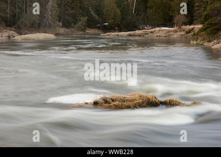 Le ruisseau Junction rapids au début du printemps, le Grand Sudbury, Ontario, Canada Banque D'Images