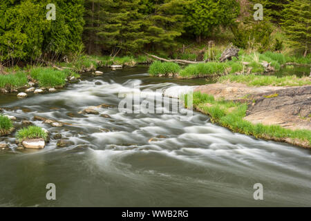 Les eaux vives du ruisseau Junction au printemps, le Grand Sudbury, Ontario, Canada Banque D'Images