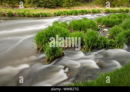 Les eaux vives du ruisseau Junction au printemps, le Grand Sudbury, Ontario, Canada Banque D'Images