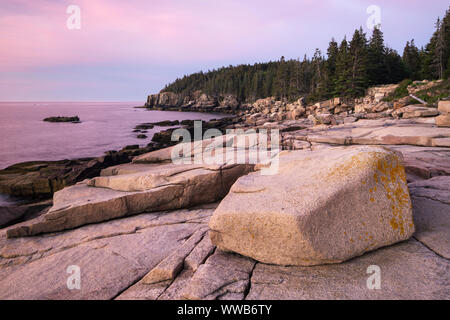 Otter Cliffs au lever du soleil dans l'Acadia National Park dans le Maine Banque D'Images