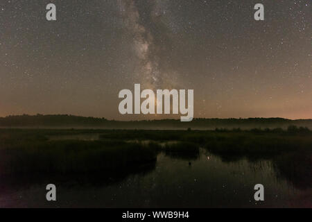 Voie Lactée sur une zone humide, Walden, le Grand Sudbury, Ontario, Canada Banque D'Images