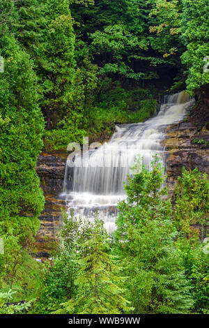 Alger tombe en automne, Alger, comté de Munising, Michigan, USA Banque D'Images