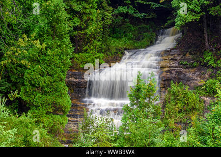 Alger tombe en automne, Alger, comté de Munising, Michigan, USA Banque D'Images