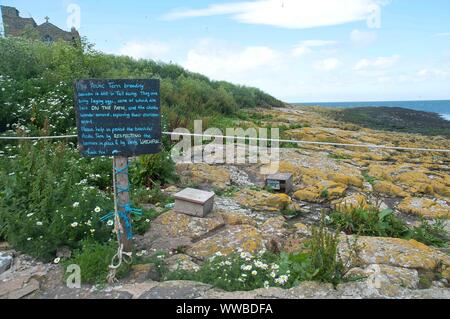 Une fiducie nationale en regard d'un nichoir pour les sternes arctiques met en garde les visiteurs à faire attention pendant la saison de reproduction, Northumberland, Angleterre Banque D'Images