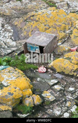 Une fiducie nationale nichoir pour les sternes arctiques sur l'île de Farne intérieure, Northumberland, Angleterre Banque D'Images