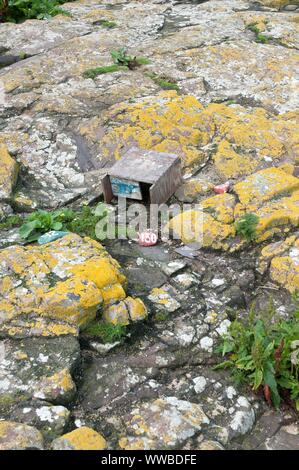 Une fiducie nationale nichoir pour les sternes arctiques sur l'île de Farne intérieure, Northumberland, Angleterre Banque D'Images