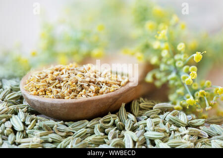 Le pollen de fenouil en cuillère en bois avec des fleurs de fenouil Graines adn. Banque D'Images