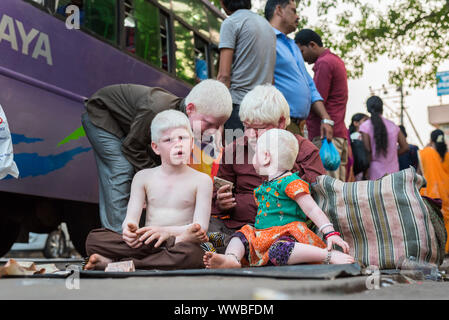 Mangalore, Karnataka, Inde : famille albinos indien implore pour de l'argent dans la rue. Banque D'Images