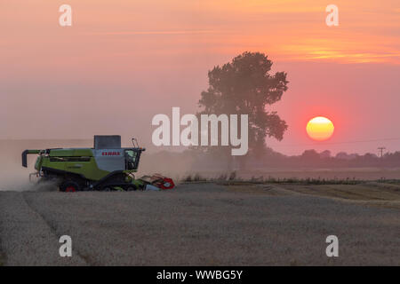 Rendmt Lexion Claas 750TT combine Harvester travaillant au coucher du soleil Banque D'Images