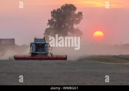 Rendmt Lexion Claas 750TT combine Harvester travaillant au coucher du soleil Banque D'Images