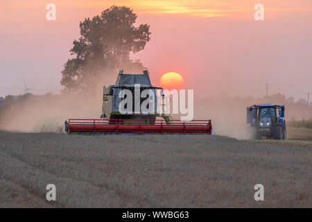 Rendmt Lexion Claas 750TT combine Harvester travaillant au coucher du soleil Banque D'Images