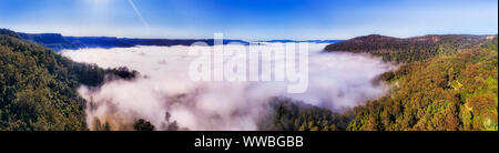 Kangaroo Valley ci-joint rempli de brouillard épais formant misty rampante couverture nuageuse sur la vallée entre les chaînes de montagnes de grès avec de la gomme-Tree Woods. Banque D'Images