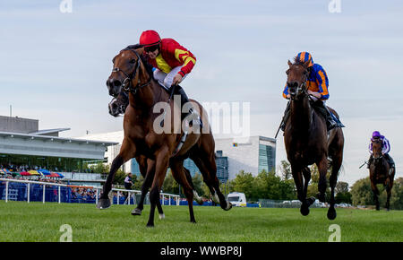 Dublin, Irlande. 14Th Sep 2019. 14 septembre 2019 : # 5 Iridessa, montée par Wayne Lordan, remporte la Fastnet Coolmore Stakes pendant un jour de semaine des Champions de l'Irlandais à l'hippodrome de Leopardstown à Dublin, Irlande. Scott Serio/Eclipse Sportswire/CSM/Alamy Live News Banque D'Images